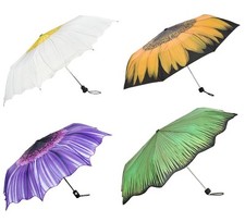 1 Taschenschirm Margeriten