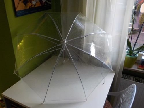 Regenschirm transparent